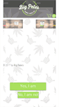 Mobile Screenshot of bigpetestreats.com